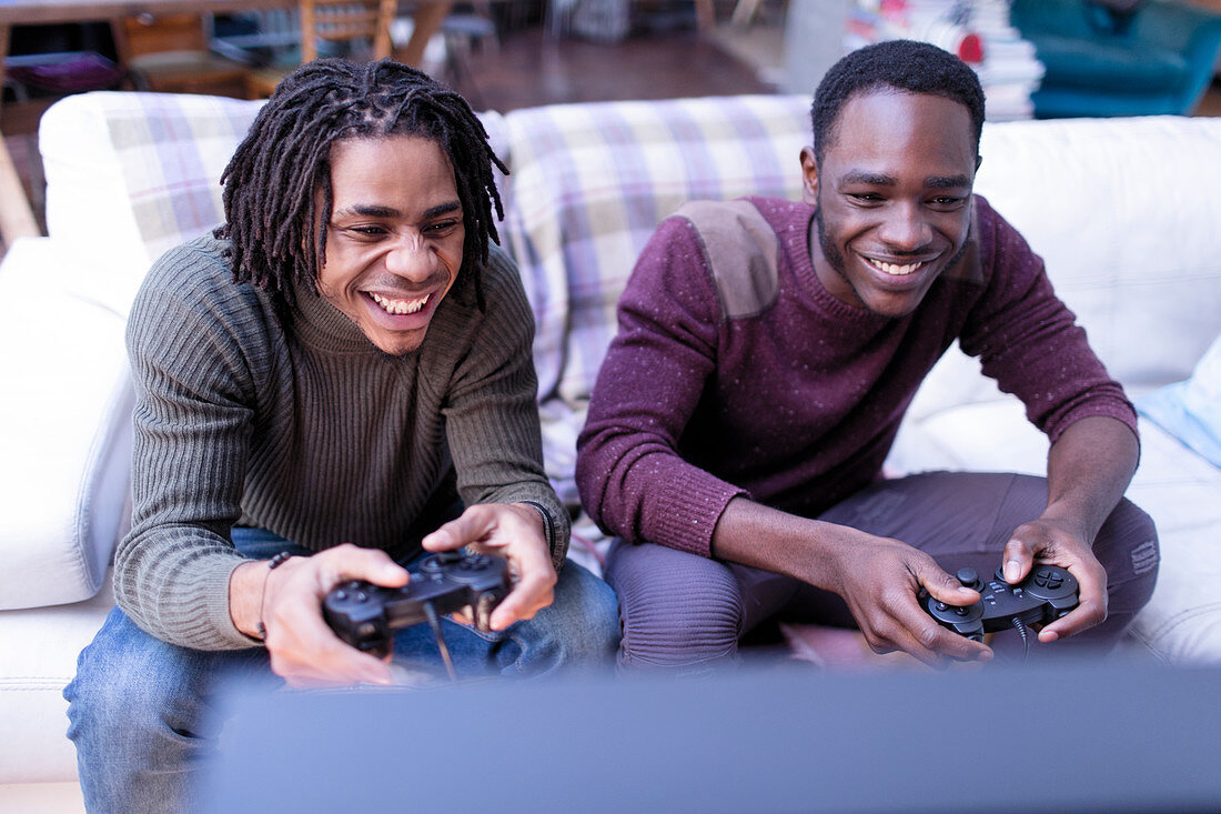 Smiling brothers playing video game on sofa