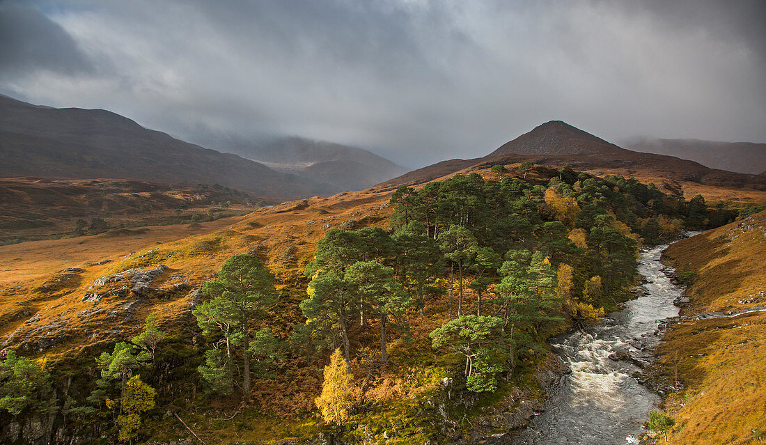 Tranquil glen landscape and river, Scotland