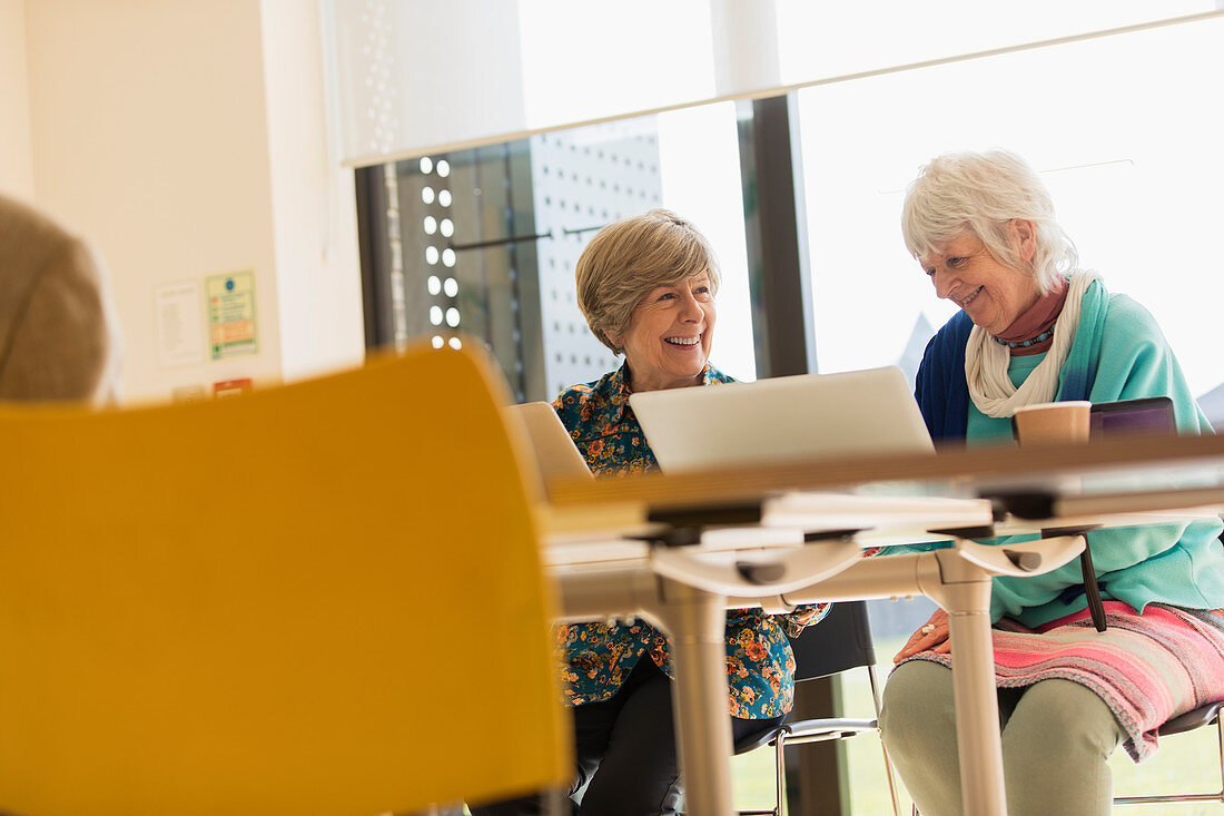 Senior businesswomen using laptops
