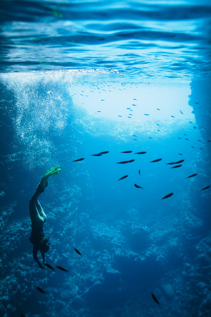 Young woman snorkelling underwater among fish