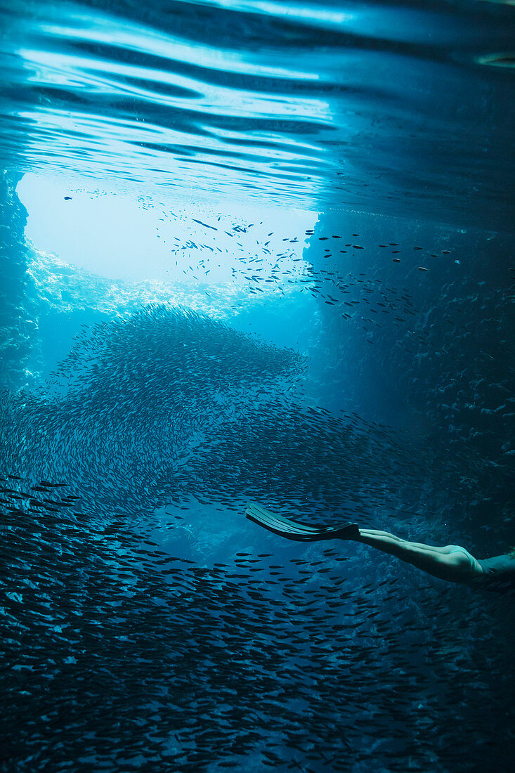 Woman snorkelling underwater among schools of fish