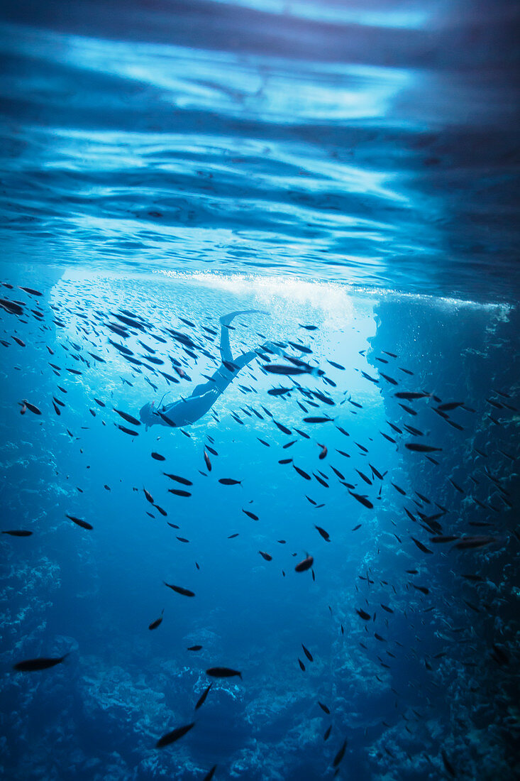 Woman snorkelling underwater among fish