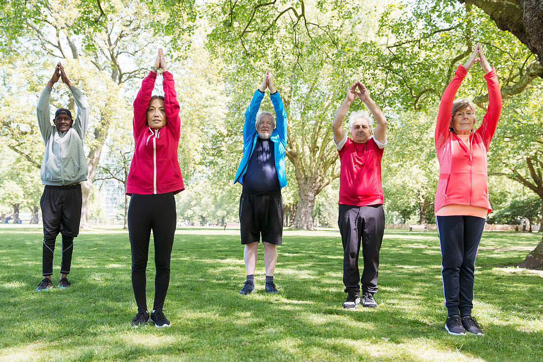 Active seniors exercising, practicing yoga in park