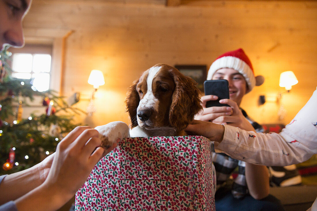 Family with dog in Christmas gift box