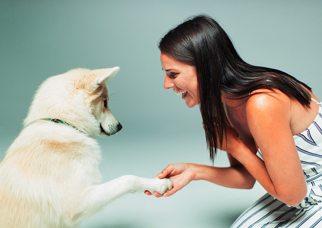 woman shaking dogs paw