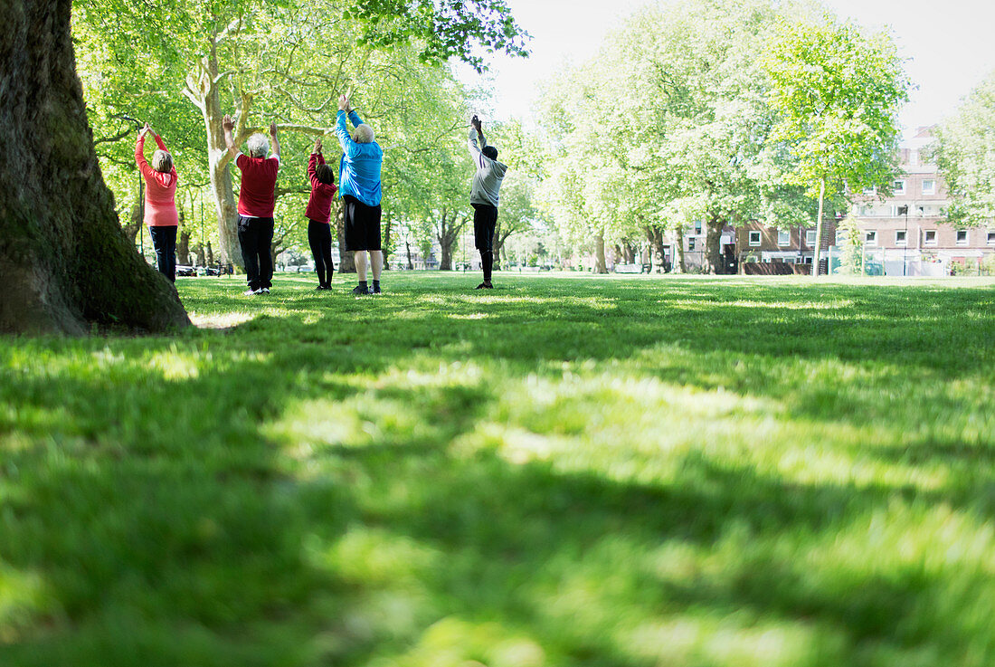 Active seniors exercising, practicing yoga in park