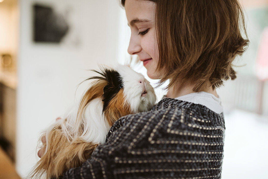Girl holding cute, long haired guinea pig