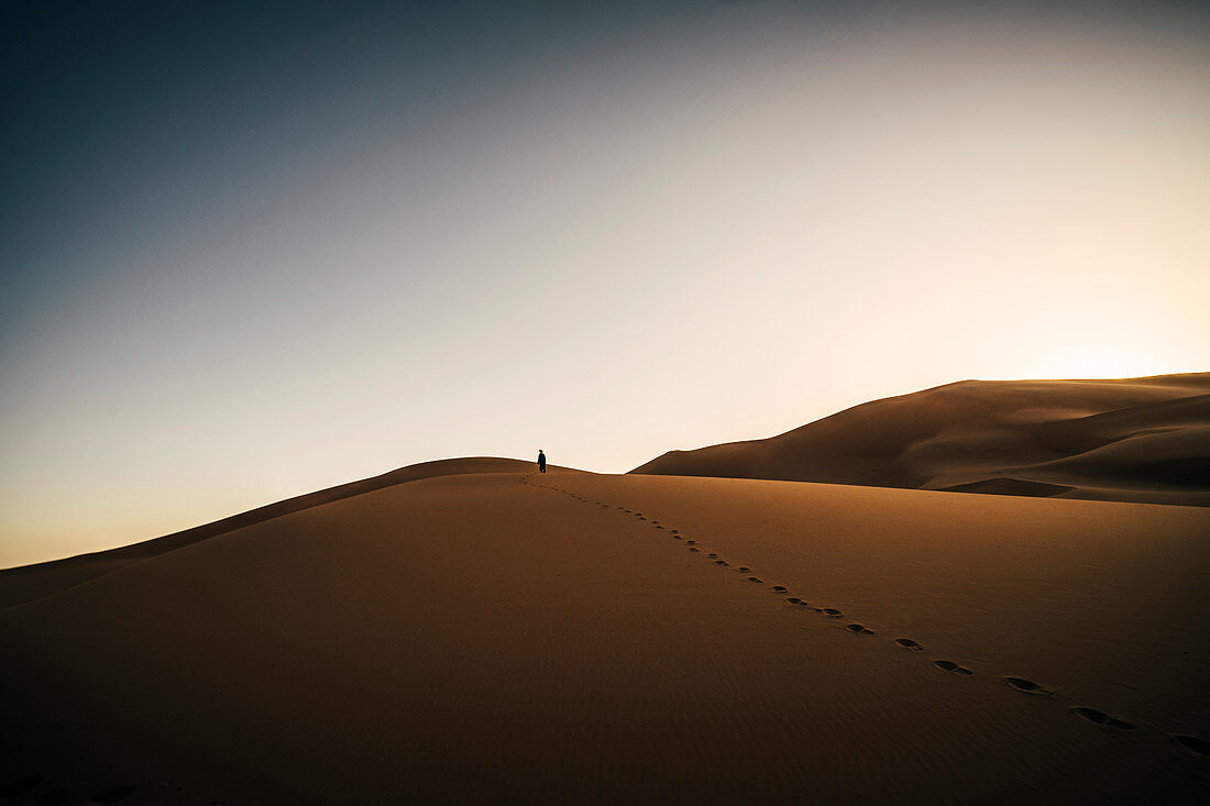 Footprints in desert, Sahara, Morocco