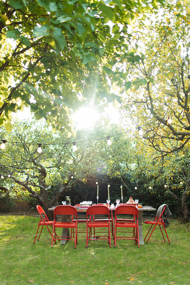 Sun shining over trees and garden party table