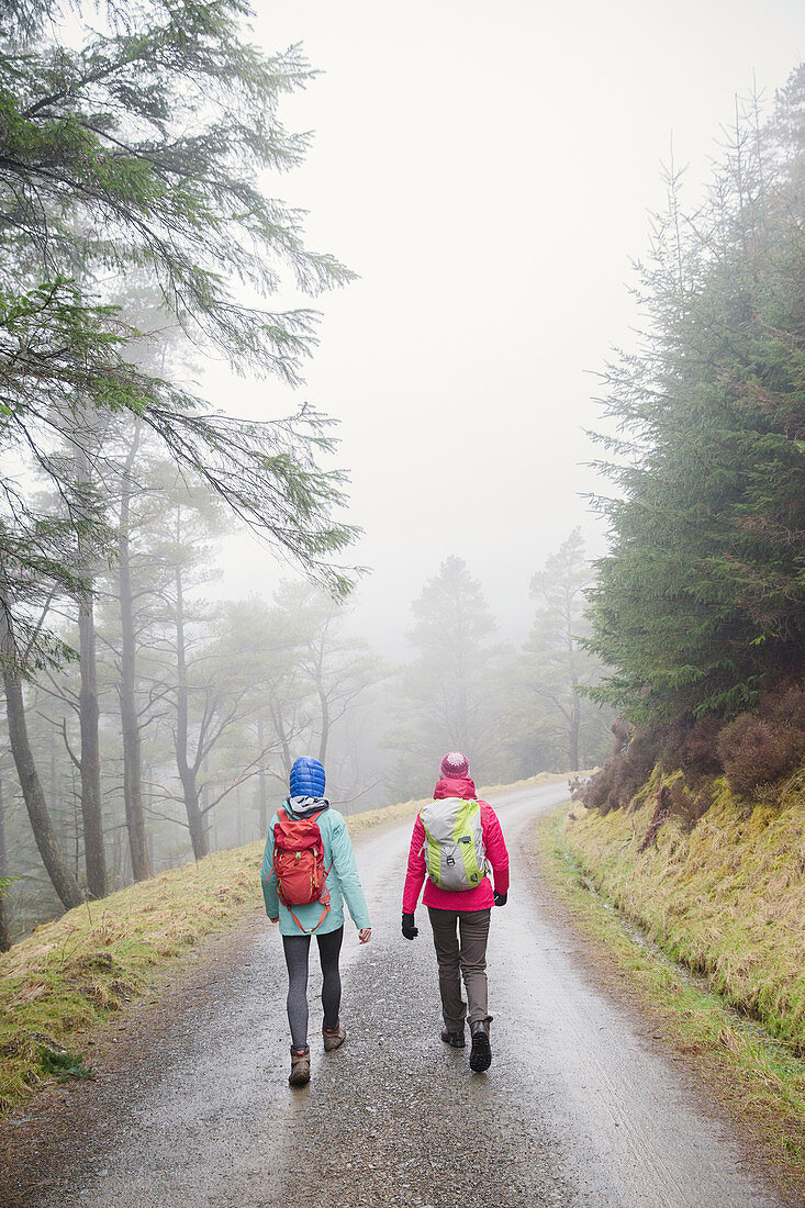 Women hiking in rainy woods