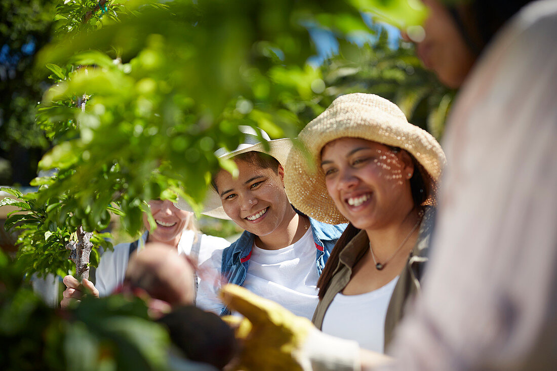 Smiling women in sunny vegetable garden