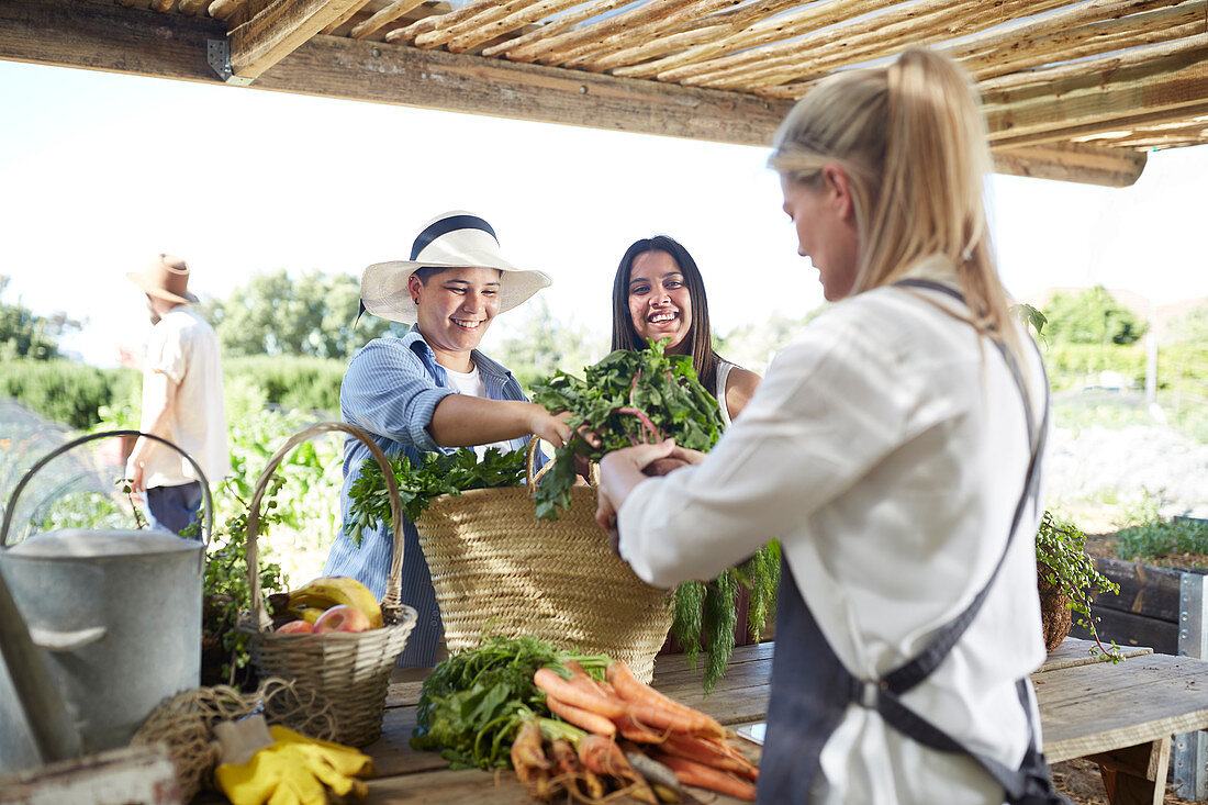 Women shopping, buying vegetables at farmer's market