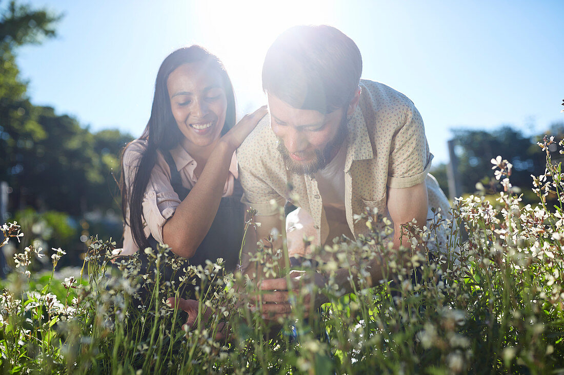 Smiling couple picking flowers in sunny garden