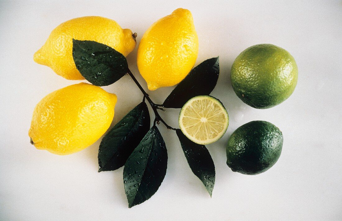 Drei Zitronen, zwei Limetten, Limettenhälfte, Zweig