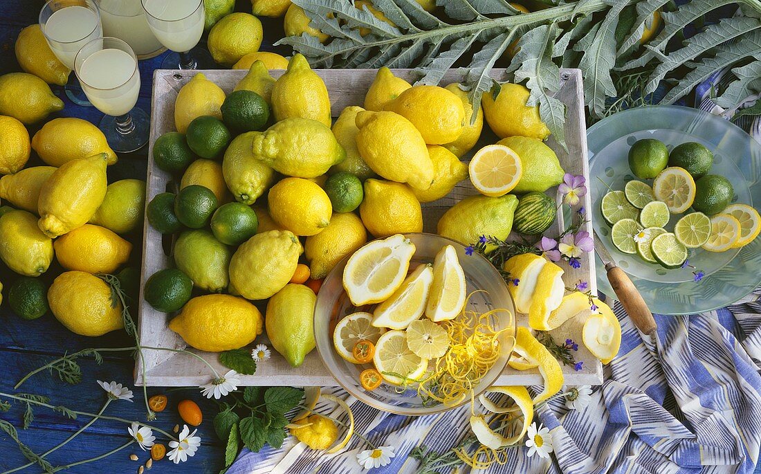 Stillleben mit Zitronen, Limetten, Kumquats, Zitronensaft