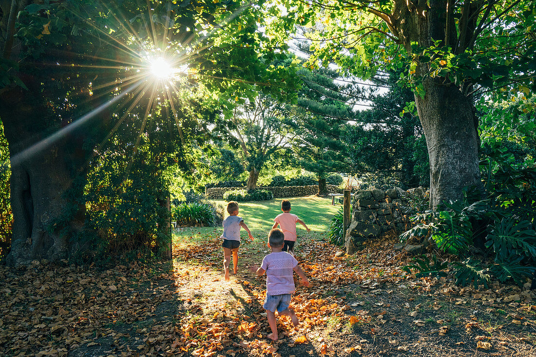 Carefree boys running in sunny idyllic autumn park