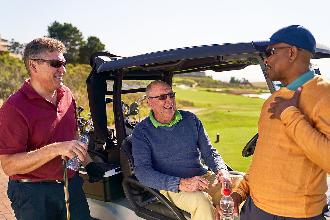 Male friends talking at golf cart on sunny golf course