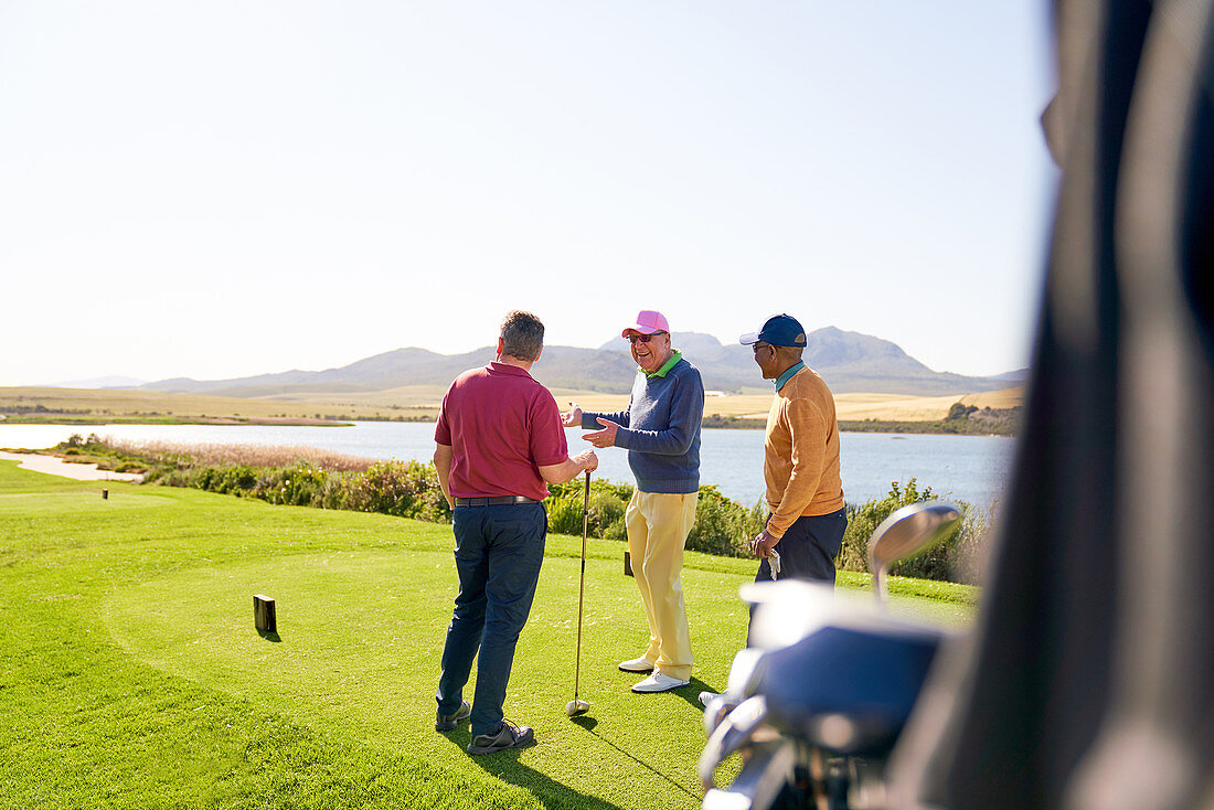 Male golfers talking at tee box on sunny golf course