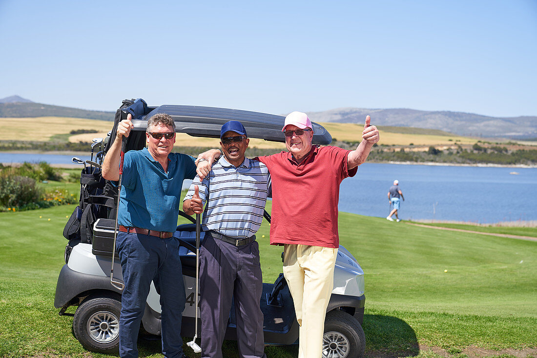 Mature male golfers at golf cart on sunny course