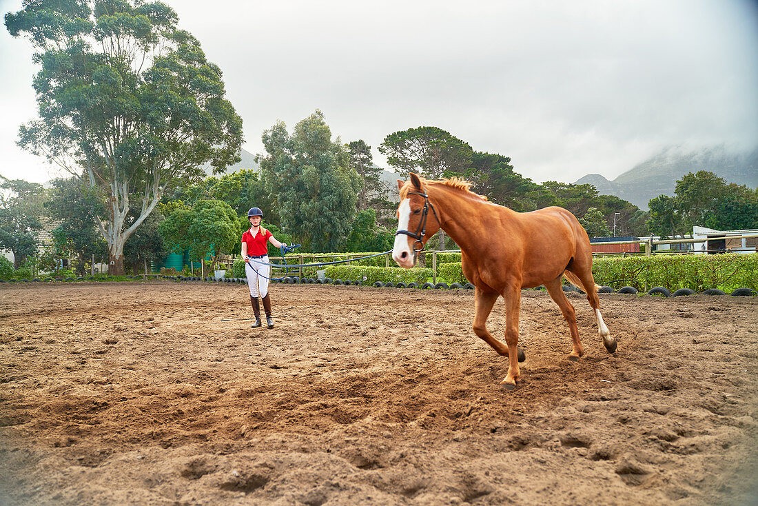 Young woman training horse in rural dirt paddock