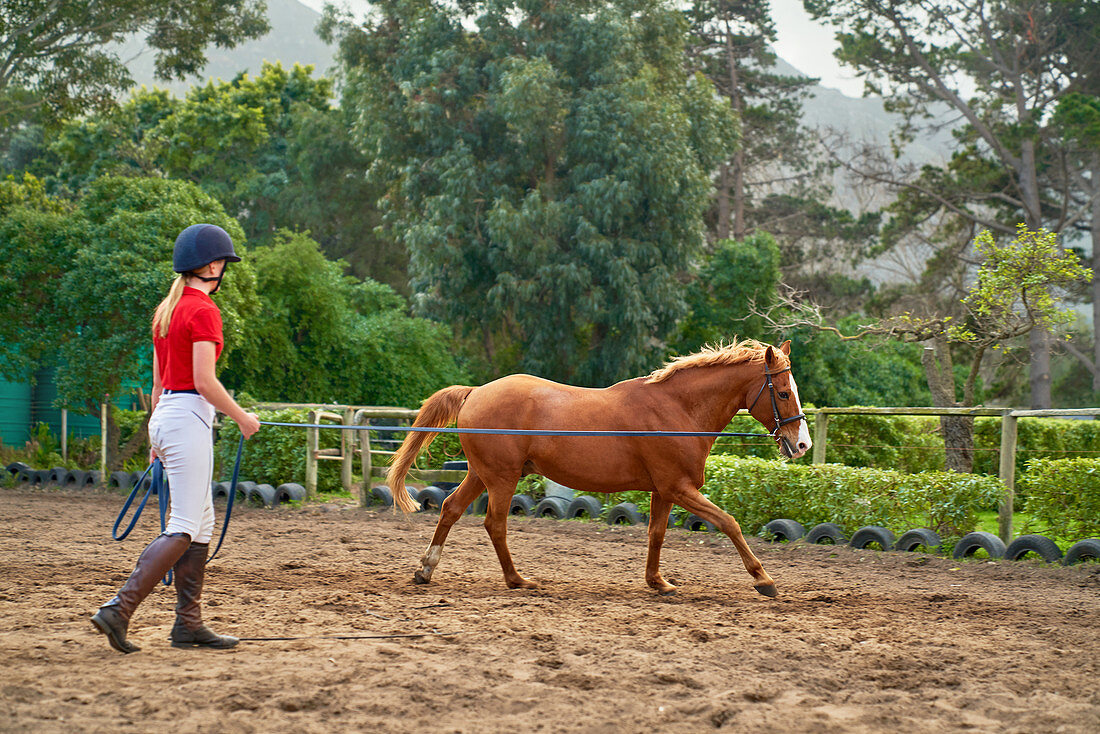 Teenage girl training horse in dirt paddock
