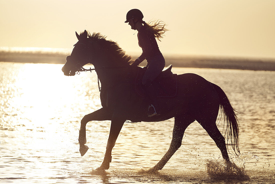 Young woman horseback riding in ocean surf at sunset