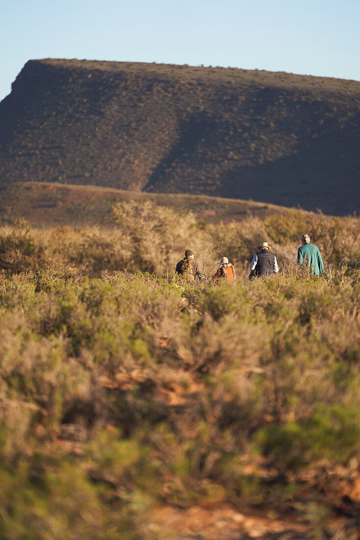 Group walking along sunny grassland landscape South Africa