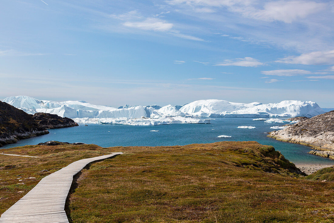 Sunny footpath leading to beach overlooking icebergs