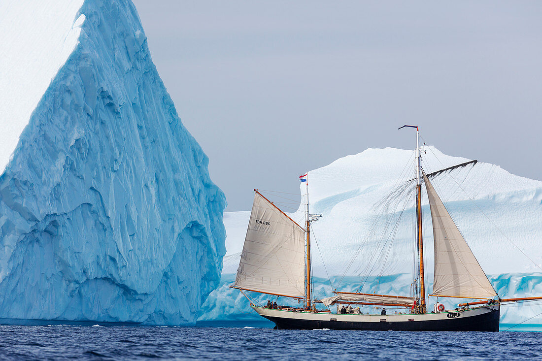 Ship sailing along majestic icebergs on