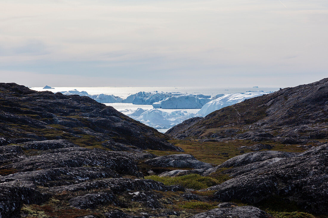 Rocky landscape overlooking icebergs