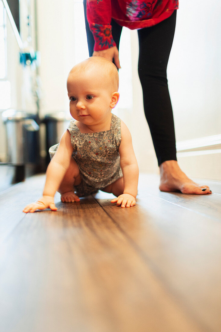 Cute baby girl crawling on hardwood floor