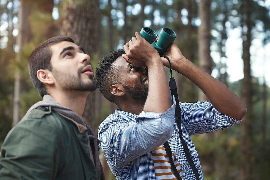 Young men with binoculars bird watching in woods