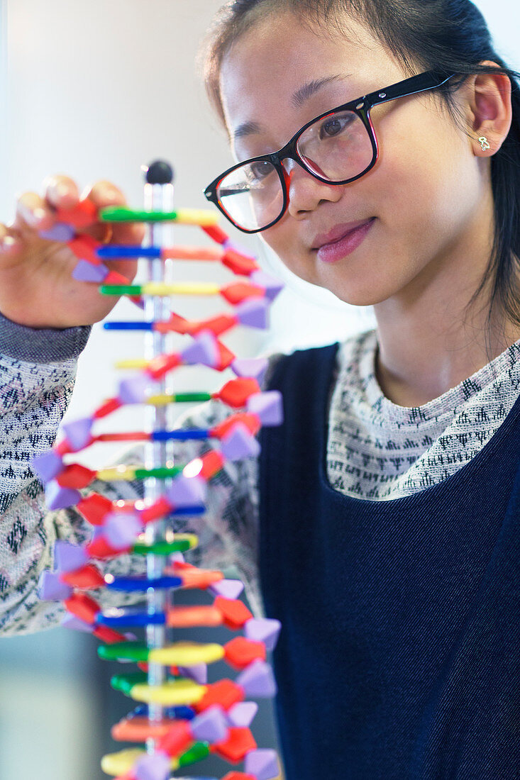 Girl student examining DNA model in classroom