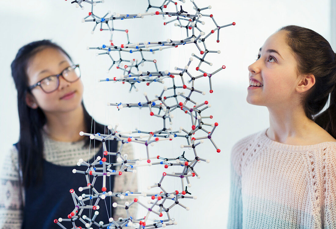 Girl students examining molecular structure in classroom