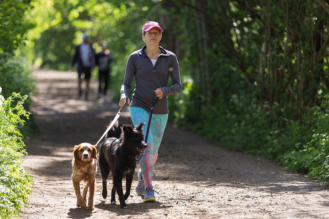 Woman with dogs walking on sunny trail in park
