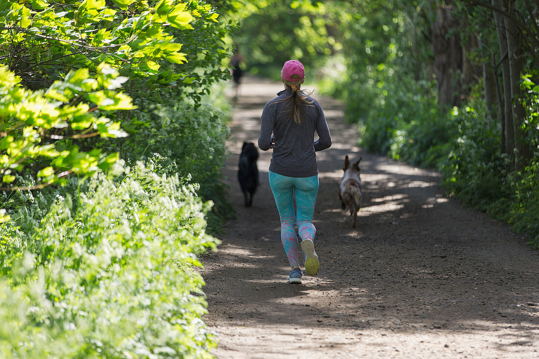 Woman jogging on sunny trail with dogs