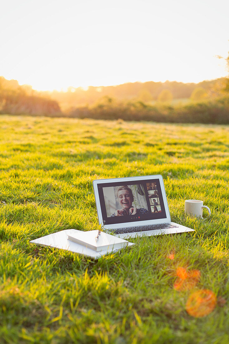 Colleagues video chatting on laptop screen in sunny grass