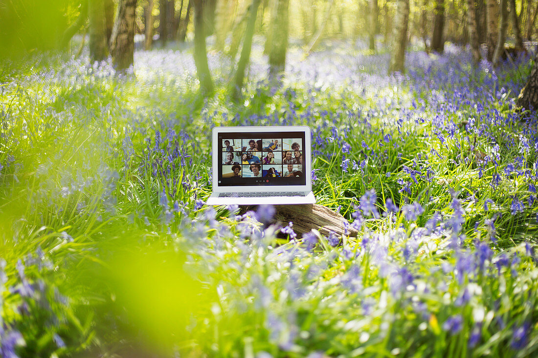 Friends video chatting on laptop screen in bluebell woods