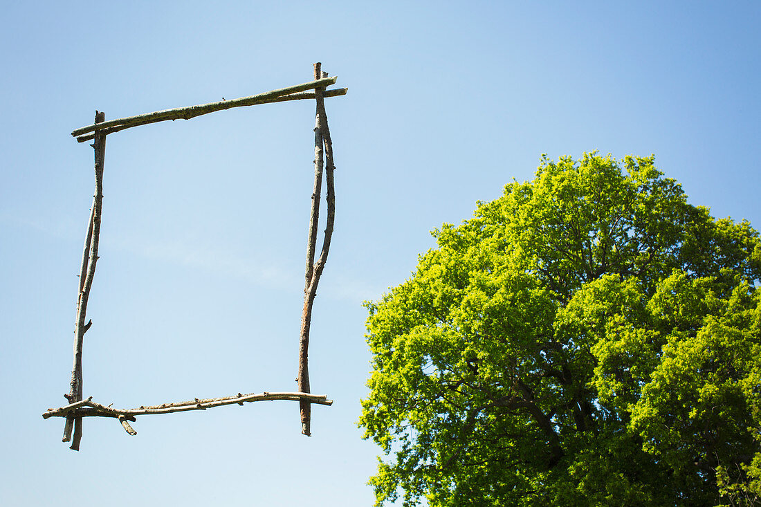 Wood stick picture frame against sunny blue sky with tree