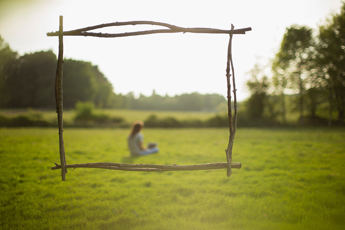 Branch frame over woman using laptop in idyllic grass field