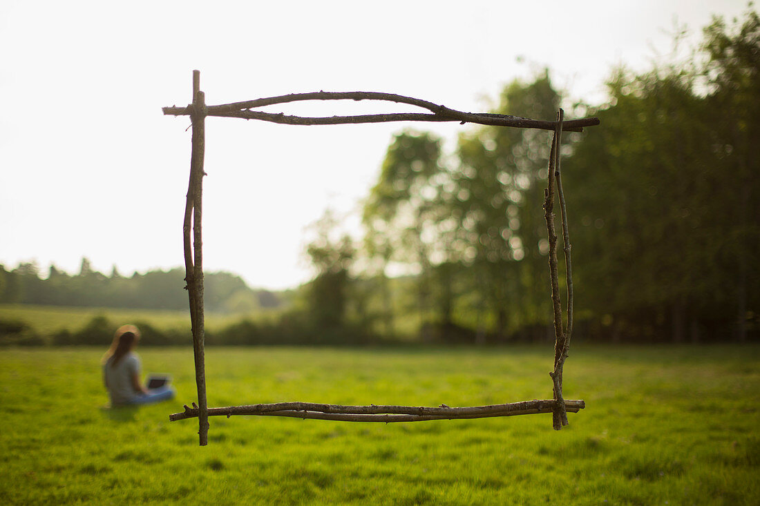 Branch frame over woman using laptop in idyllic grass field