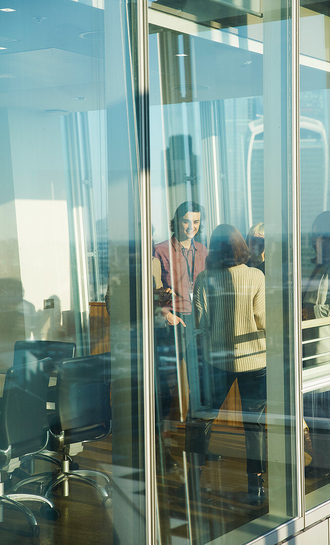 Business people talking at sunny office window