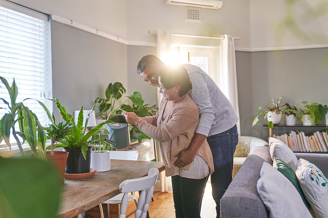 Couple tending to houseplants in dining room