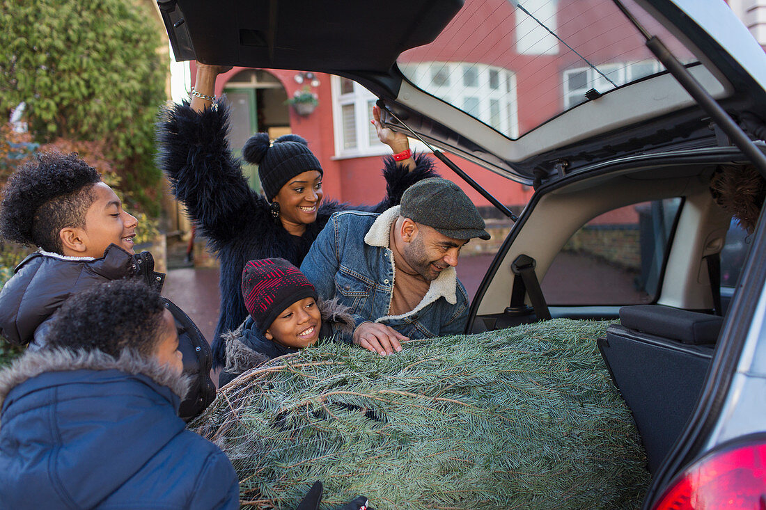 Family loading Christmas tree into car