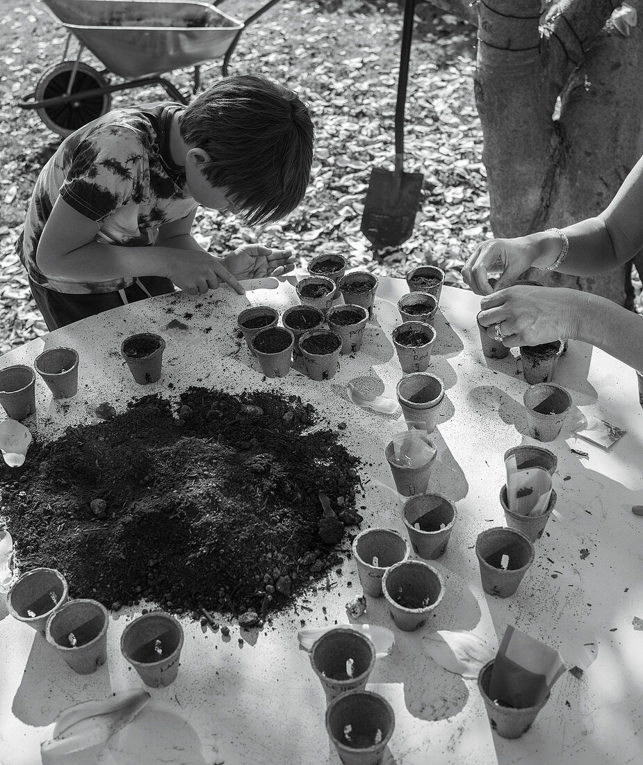 Mother and son potting seedlings in flowerpots