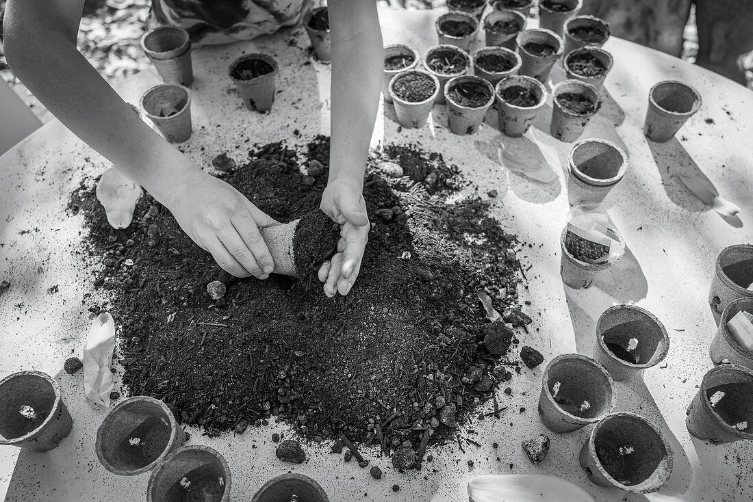 Woman potting seedlings with dirt in flowerpots
