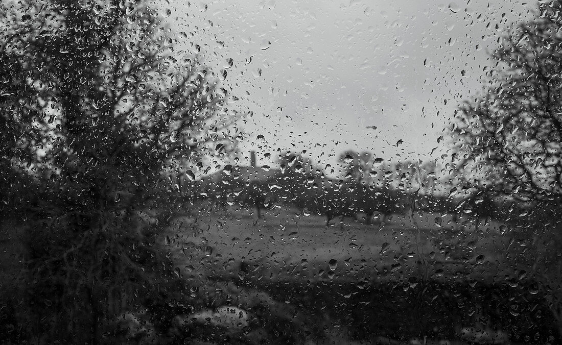 Raindrops on window with view of trees
