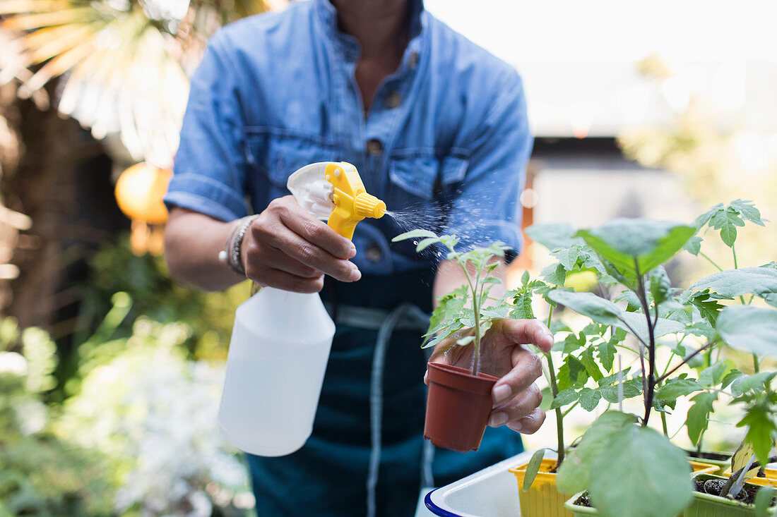 Woman watering potted plants