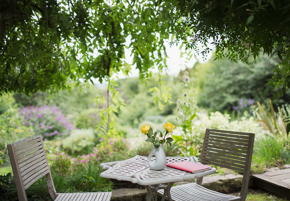 Roses in vase on tranquil summer patio table