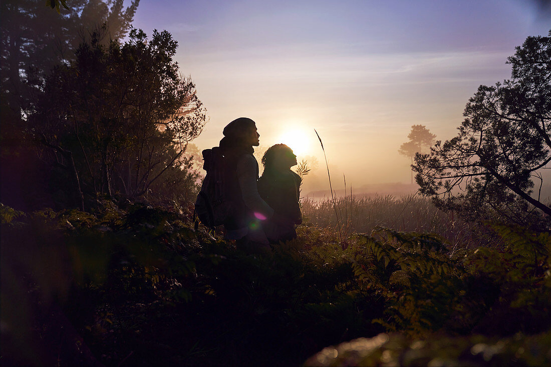 Couple enjoying hike in nature at sunset